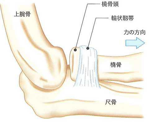 肘の図1